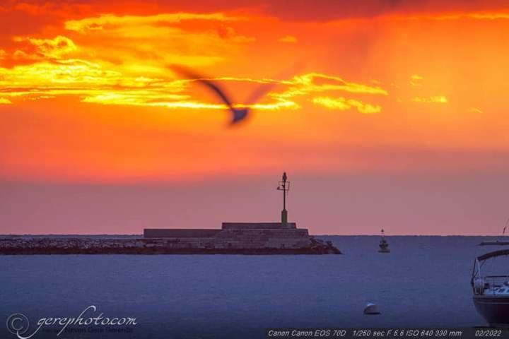 Apartment Ante Umag Dış mekan fotoğraf