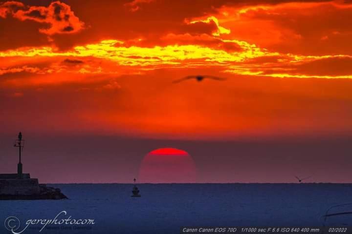 Apartment Ante Umag Dış mekan fotoğraf